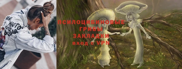 хмурый Дмитровск
