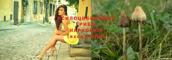 хмурый Дмитровск