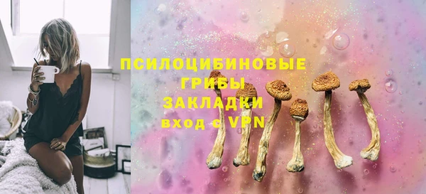 герыч Дмитров