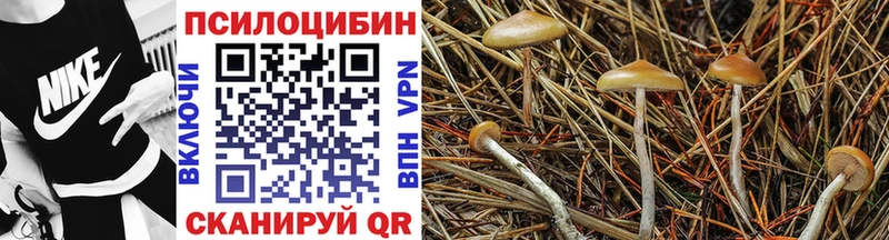 Купить закладки  Нижняя Салда  Галлюциногенные грибы GOLDEN TEACHER 